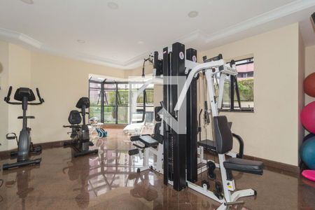 Área comum - Academia de apartamento para alugar com 3 quartos, 300m² em Jardim Analia Franco, São Paulo