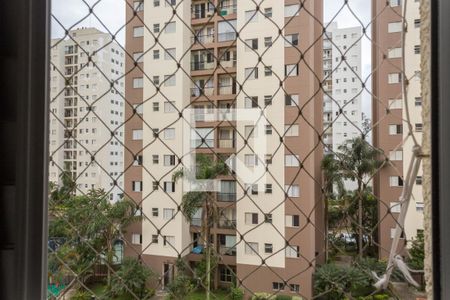 Quarto 1 de apartamento para alugar com 2 quartos, 56m² em Planalto, São Bernardo do Campo