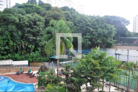 Vista do Quarto 02 de apartamento à venda com 3 quartos, 76m² em Jardim Iris, São Paulo