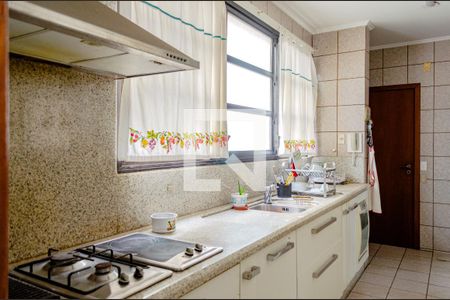 Cozinha de apartamento para alugar com 3 quartos, 380m² em Centro, Florianópolis