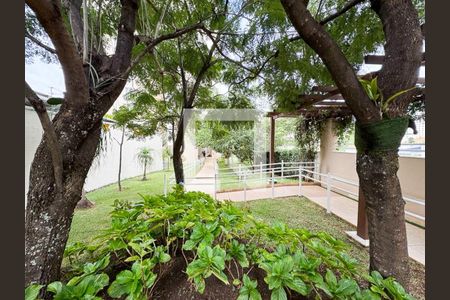Área comum de apartamento à venda com 3 quartos, 90m² em Castelo, Belo Horizonte