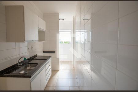 Cozinha de apartamento para alugar com 1 quarto, 46m² em Subsetor Sul - 5 (s-5), Ribeirão Preto