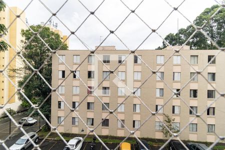 Vista da Sala de apartamento para alugar com 2 quartos, 50m² em Jardim Maristela, São Paulo