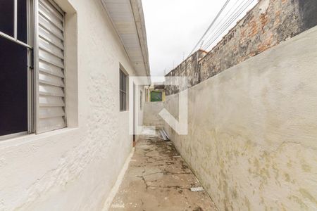 Quintal de casa para alugar com 1 quarto, 120m² em Penha de França, São Paulo