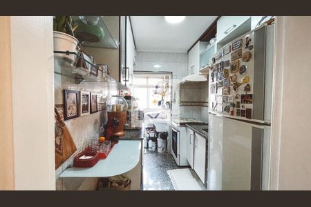 Cozinha de apartamento à venda com 3 quartos, 60m² em Vila Amélia, São Paulo