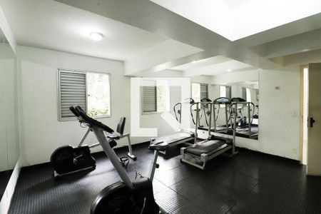 Área comum - Academia de apartamento à venda com 3 quartos, 60m² em Vila Amélia, São Paulo