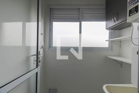 Área de Serviço de apartamento para alugar com 2 quartos, 47m² em Quinta da Paineira, São Paulo