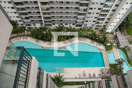 Área comum - Piscina de apartamento para alugar com 1 quarto, 41m² em Continental, Osasco
