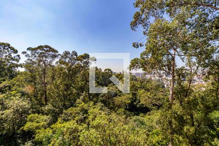 Vista da Varanda de apartamento à venda com 3 quartos, 75m² em Jardim das Vertentes, São Paulo