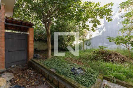 Área comum Quintal de casa para alugar com 7 quartos, 500m² em Chácara das Pedras, Porto Alegre