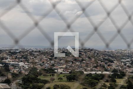 Vista da Suíte de apartamento para alugar com 3 quartos, 93m² em Caiçaras, Belo Horizonte