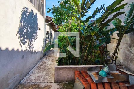 Quintal de casa à venda com 5 quartos, 242m² em Jardim Novo Campos Eliseos, Campinas