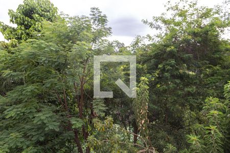 Vista - Sala de apartamento para alugar com 1 quarto, 53m² em Vila Leonor, Guarulhos
