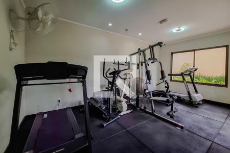 Área comum - Academia de apartamento para alugar com 3 quartos, 90m² em Ipiranga, São Paulo
