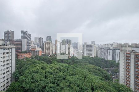 Sala/Cozinha - VIsta de apartamento para alugar com 1 quarto, 66m² em Paraíso, São Paulo