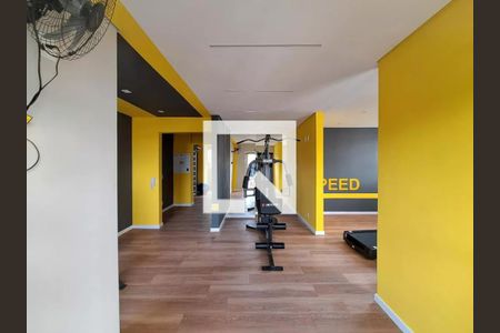 Academia de apartamento para alugar com 2 quartos, 38m² em Sítio do Mandaqui, São Paulo