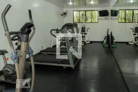 Academia de apartamento para alugar com 3 quartos, 76m² em Jabaquara, São Paulo