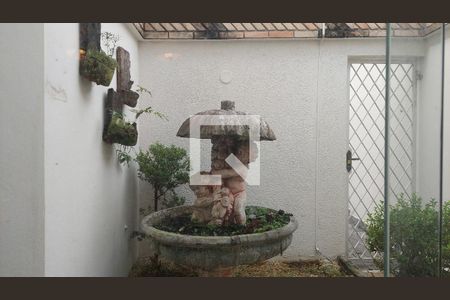Detalhe da Sala - Jardim de Inverno de casa à venda com 5 quartos, 517m² em Indianópolis, São Paulo