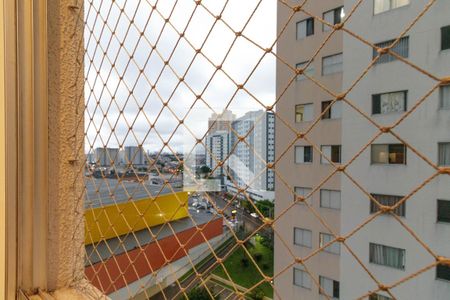 Sala vista de apartamento para alugar com 3 quartos, 70m² em Vila Ema, São Paulo