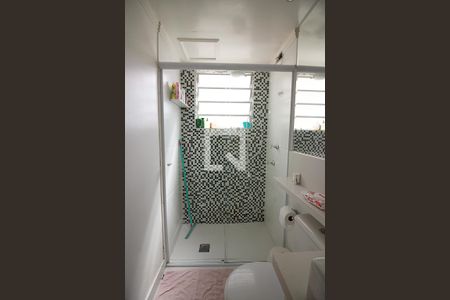 Banheiro Social de apartamento para alugar com 2 quartos, 47m² em Planalto, São Bernardo do Campo