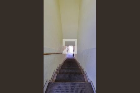 Escadas externas  de casa para alugar com 2 quartos, 200m² em Cidade Nova Bonsucesso, Guarulhos