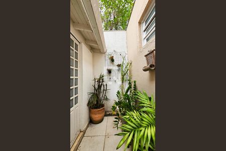 Quintal de casa de condomínio à venda com 3 quartos, 273m² em Jardim Consorcio, São Paulo