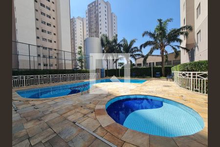 Área comum - Piscina de apartamento para alugar com 3 quartos, 70m² em Vila das Bandeiras, Guarulhos