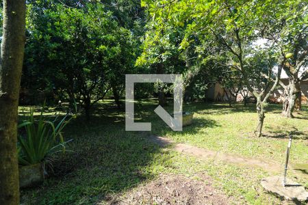 Quintal de casa à venda com 4 quartos, 500m² em Menino Deus, Porto Alegre