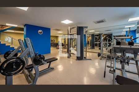 Área comum - Academia de apartamento à venda com 2 quartos, 73m² em Jardim Caboré, São Paulo