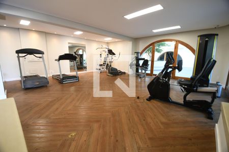 Área comum - Academia de apartamento para alugar com 3 quartos, 88m² em Jardim das Paineiras, Campinas