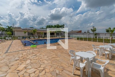 Área comum - Piscina de apartamento para alugar com 2 quartos, 52m² em Jardim Sao Sebastiao, Hortolândia