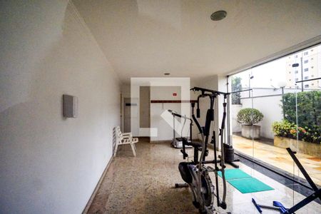 Área comum Academia de apartamento à venda com 3 quartos, 75m² em Chácara Santo Antônio (zona Leste), São Paulo