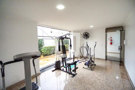 Área comum Academia de apartamento à venda com 3 quartos, 75m² em Chácara Santo Antônio (zona Leste), São Paulo