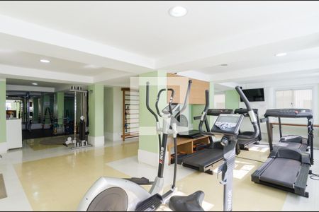 Área comum - Academia de apartamento para alugar com 4 quartos, 171m² em Nova Petrópolis, São Bernardo do Campo