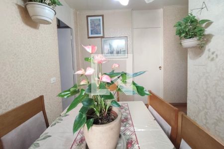 Sala de Jantar de apartamento para alugar com 2 quartos, 63m² em Conjunto Residencial Parque Bandeirantes, Campinas