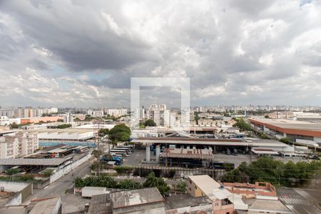Quarto 2 - Vista de apartamento à venda com 3 quartos, 124m² em Vila Guilherme, São Paulo