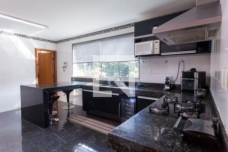 Cozinha de casa de condomínio à venda com 3 quartos, 308m² em Vale das Araras, Nova Lima