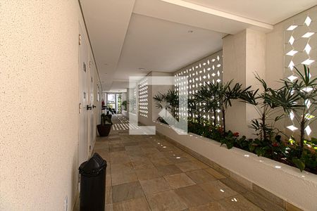 Área comum de apartamento para alugar com 2 quartos, 50m² em Alto do Ipiranga, São Paulo