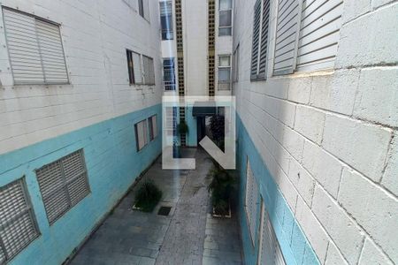 Vista da Sala de apartamento à venda com 3 quartos, 59m² em Vila Padre Manoel de Nóbrega, Campinas