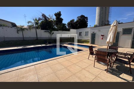 Área comum - Piscina de apartamento à venda com 2 quartos, 45m² em Fundacao da Casa Popular, Campinas