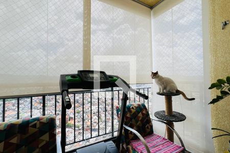 Varanda da Sala de apartamento à venda com 3 quartos, 76m² em Picanço, Guarulhos