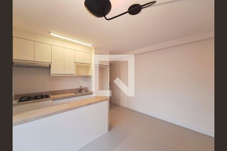 Sala de apartamento para alugar com 2 quartos, 47m² em Parada Inglesa, São Paulo