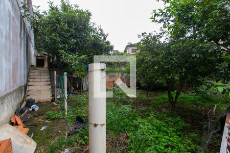 Pomar / Canil de casa à venda com 5 quartos, 600m² em Vila Carolina, São Paulo