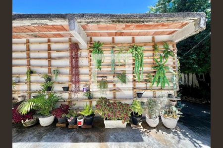 Jardim de casa para alugar com 3 quartos, 180m² em Europa, Belo Horizonte