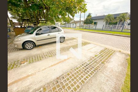 Apartamento para alugar com 1 quarto, 30m² em Daniela, Florianópolis
