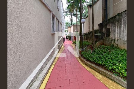 Área comum de apartamento para alugar com 2 quartos, 48m² em Paraisópolis, São Paulo
