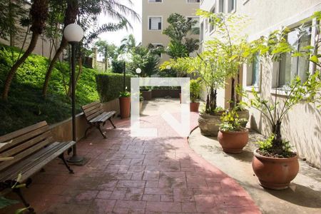Área comum de apartamento para alugar com 2 quartos, 48m² em Paraisópolis, São Paulo