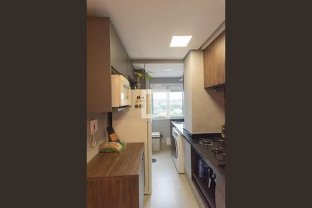 Cozinha de apartamento para alugar com 2 quartos, 48m² em Jardim Samambaia, Campinas