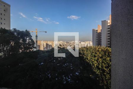 Vista Quarto 2 de apartamento para alugar com 2 quartos, 42m² em Vila Nova Cachoeirinha, São Paulo