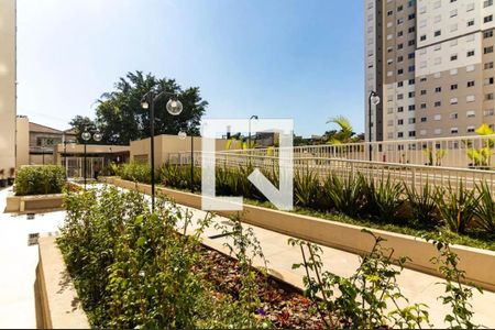 Área comum de apartamento para alugar com 2 quartos, 42m² em Vila Nova Cachoeirinha, São Paulo